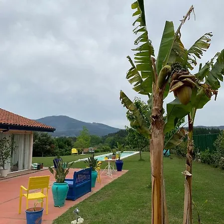 Habitación En La Naturaleza 1